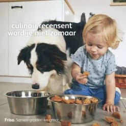 Friso 2 Babyvoeding - Opvolgmelk - 6 Tot 10 Maanden - 800g - Blik -Jollein Baby Verkoopwinkel 1200x1200 185