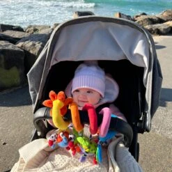 Playgro Boxspiraal Amazing Garden Twirly Whirly - Kinderwagen Speeltje - Activiteitenspiraal 17 Playgro Boxspiraal Amazing Garden Twirly Whirly - Kinderwagen Speeltje - Activiteitenspiraal -Jollein Baby Verkoopwinkel 1200x1200 204