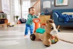 Fisher Price Fisher-Price Pony Loopvriendje - Looptrainer Baby - Bruin - Groen -Jollein Baby Verkoopwinkel 1200x800 70